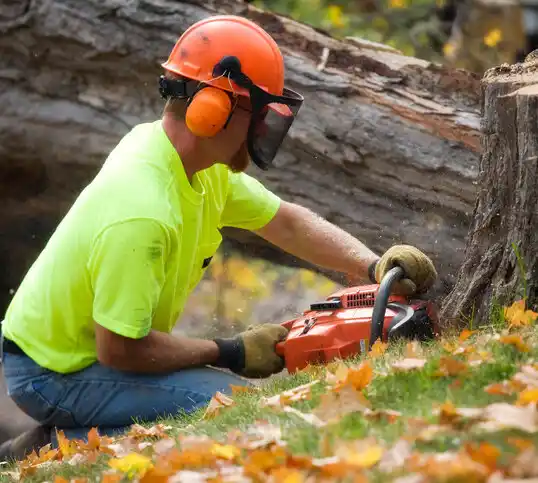 tree services Douglas